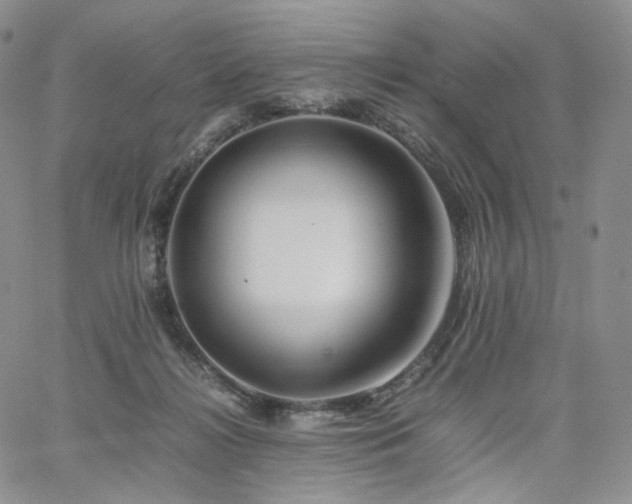 X0000062170268200512091438