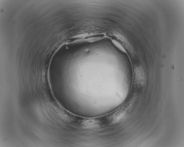 X0000062170269200512091438