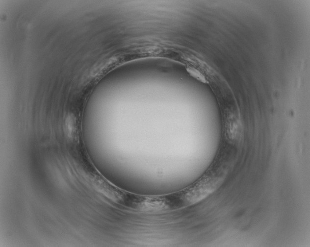 X0000062170270200512091438