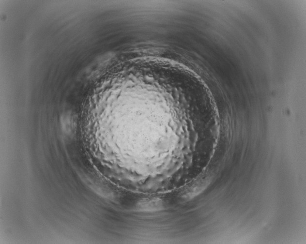 X0000062170271200512091438