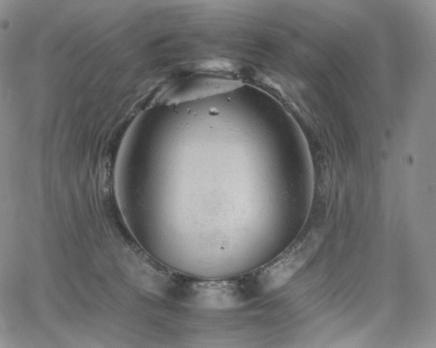 X0000062170273200512091438