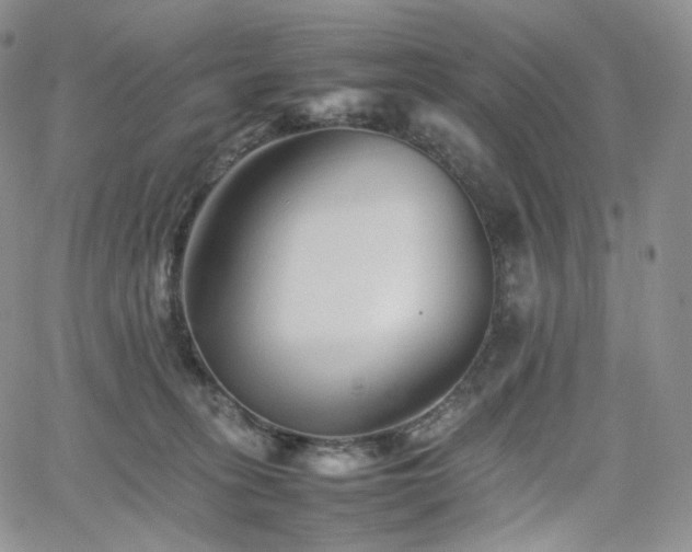 X0000062170275200512091438