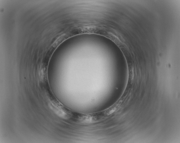 X0000062170276200512091438