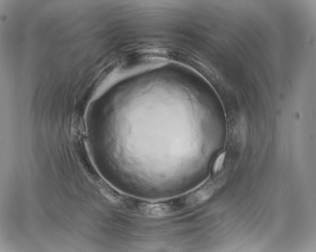 X0000062170277200512091438