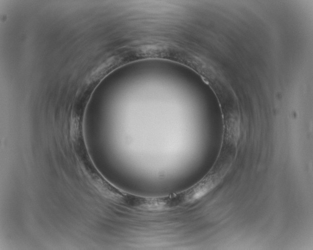 X0000062170278200512091438