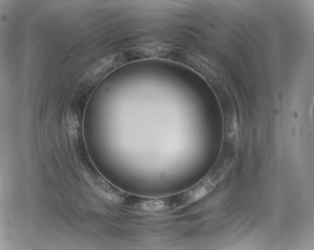 X0000062170279200512091438