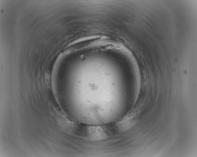 X0000062170281200512091438