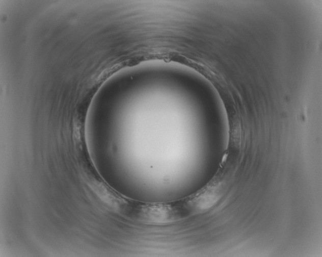 X0000062170282200512091438