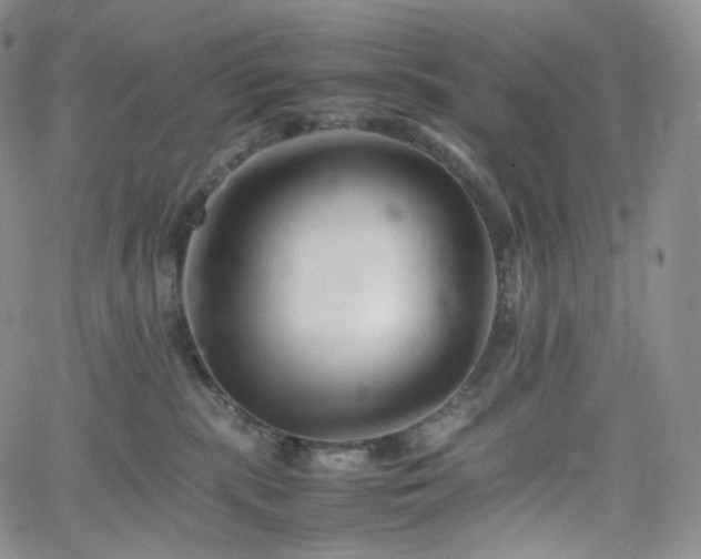 X0000062170283200512091438