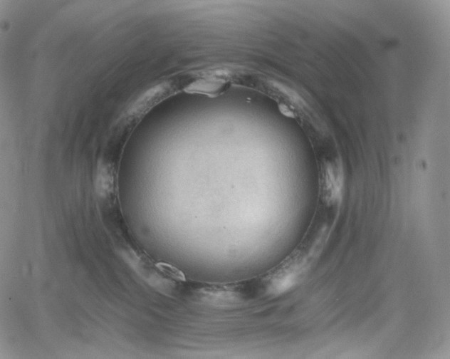 X0000062170284200512091438