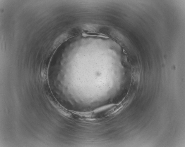 X0000062170285200512091438