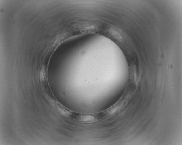 X0000062170287200512091438