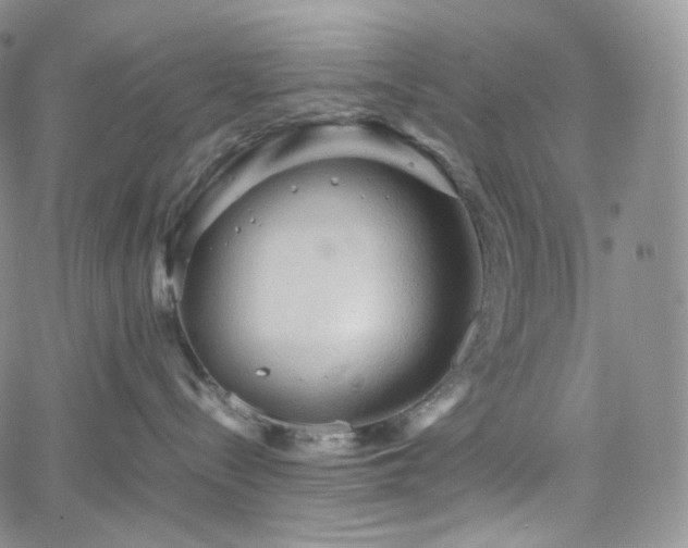 X0000062170288200512091438