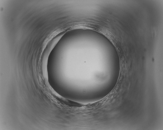 X0000062170289200512091437