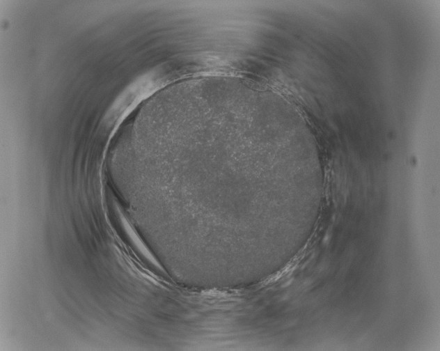 X0000062170290200512091437