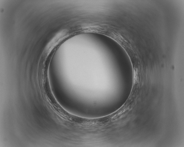 X0000062170291200512091437