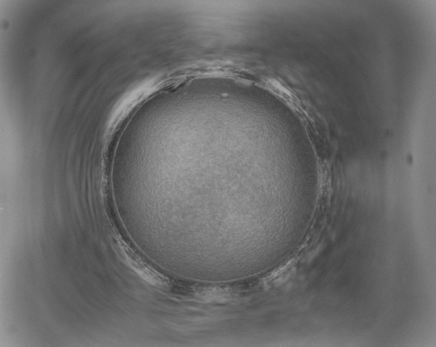 X0000062170293200512091437