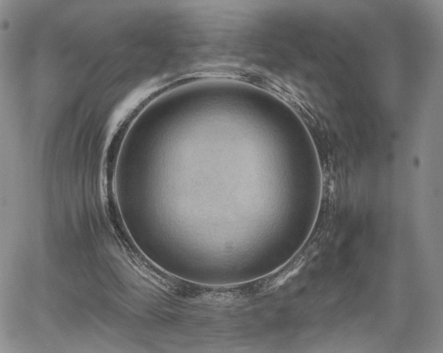 X0000062170294200512091437