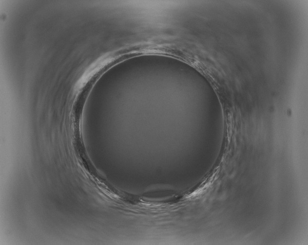 X0000062170295200512091437