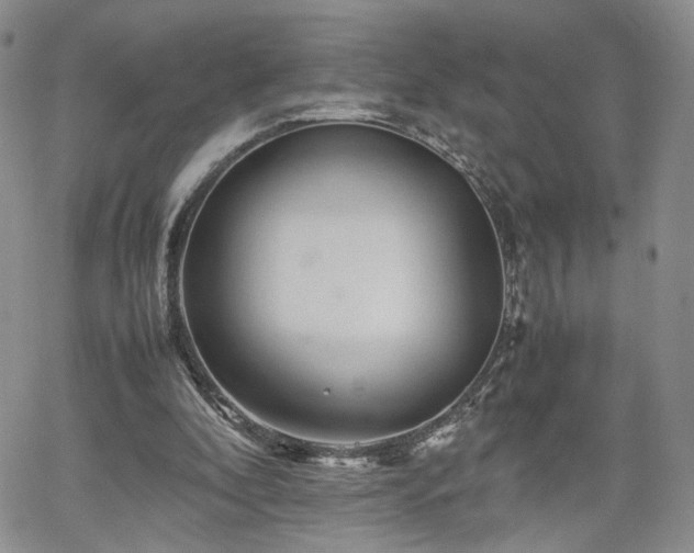 X0000062170296200512091437