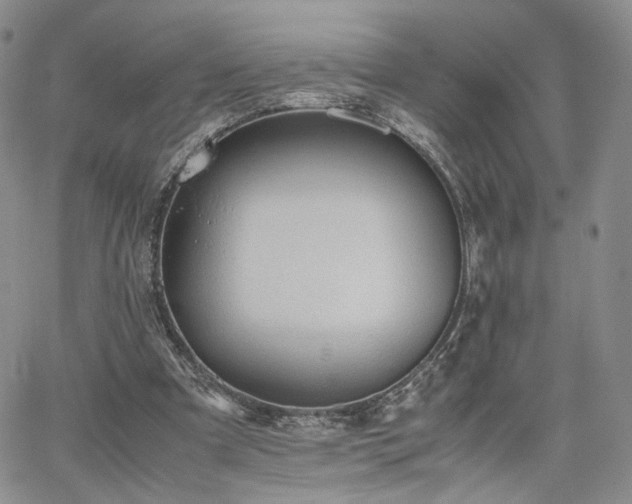 X0000062170297200512091437