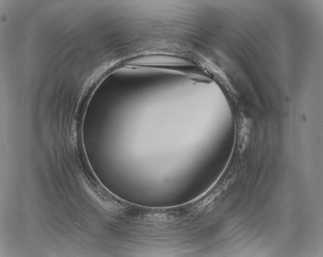 X0000062170298200512091437