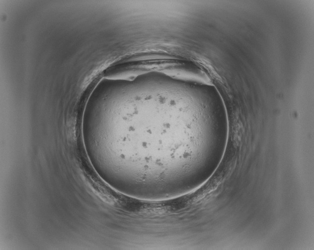 X0000062170299200512091437