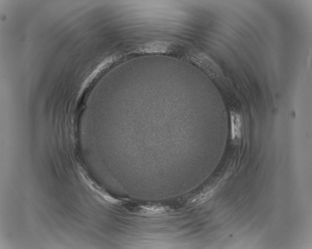 X0000062170300200512091437