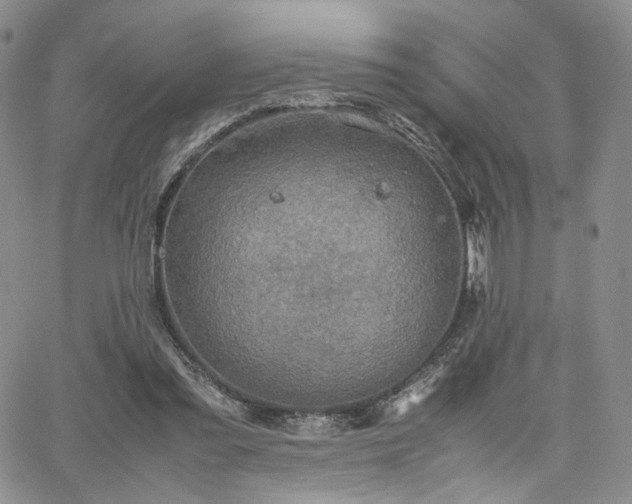 X0000062170301200512091437