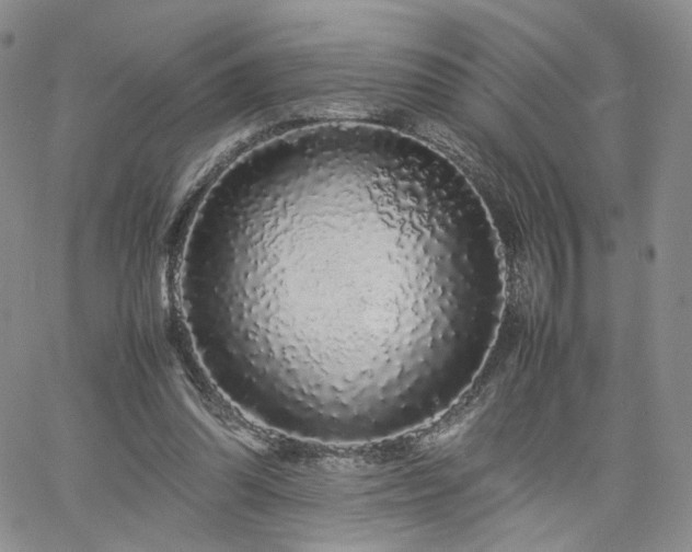 X0000062170302200512091437