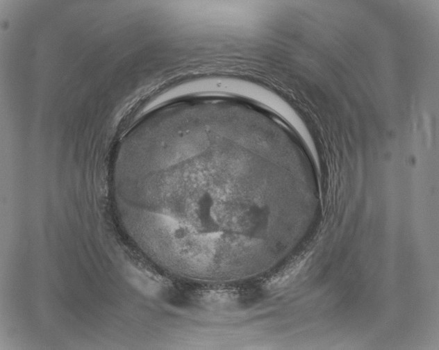 X0000062170303200512091437