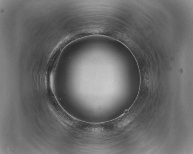 X0000062170304200512091437