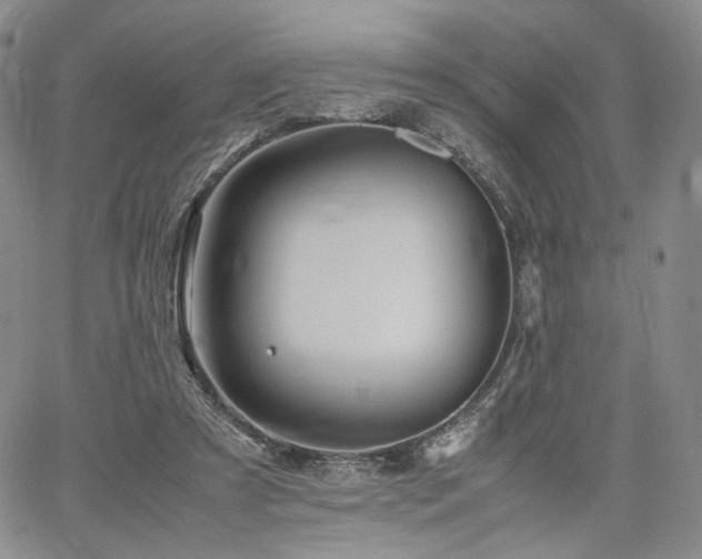 X0000062170305200512091437