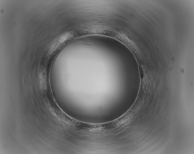 X0000062170306200512091437