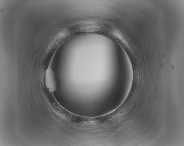 X0000062170307200512091437