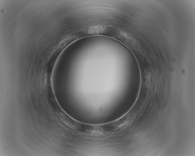 X0000062170308200512091437