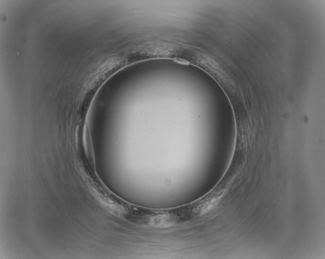 X0000062170309200512091437