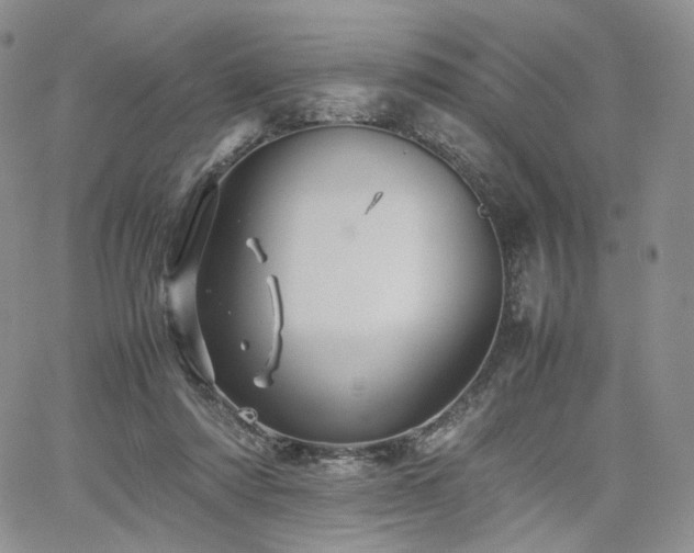 X0000062170310200512091437