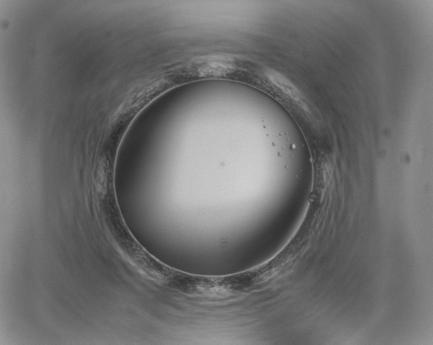 X0000062170311200512091437