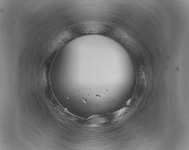 X0000062170312200512091437