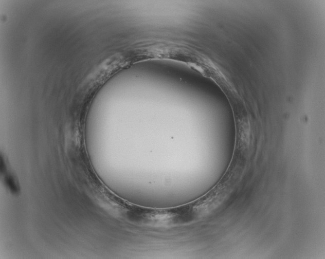 X0000062170313200512091437