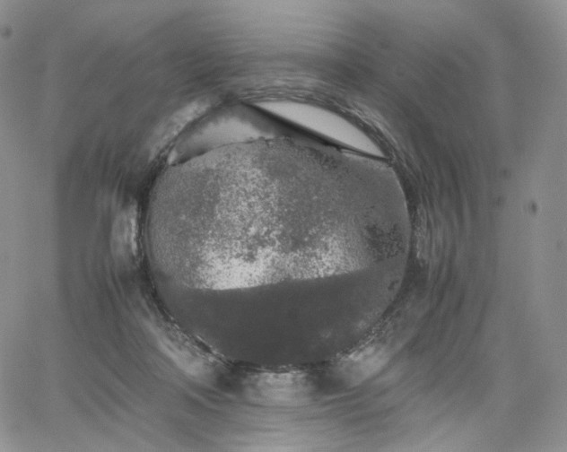 X0000062170314200512091437