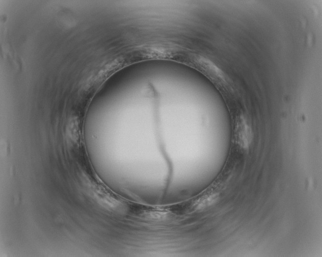 X0000062170318200512091437