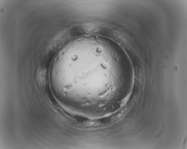 X0000062170319200512091437