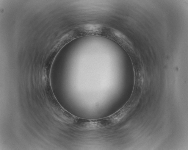 X0000062170320200512091437