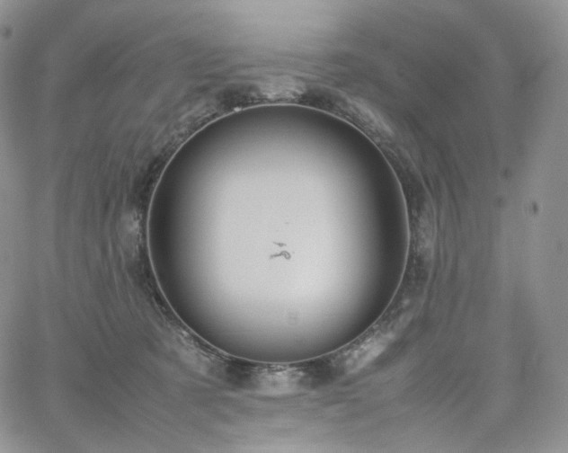 X0000062170321200512091437