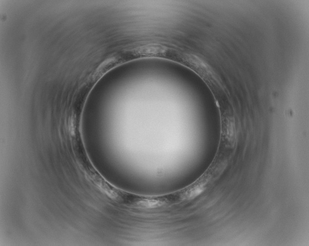 X0000062170326200512091437