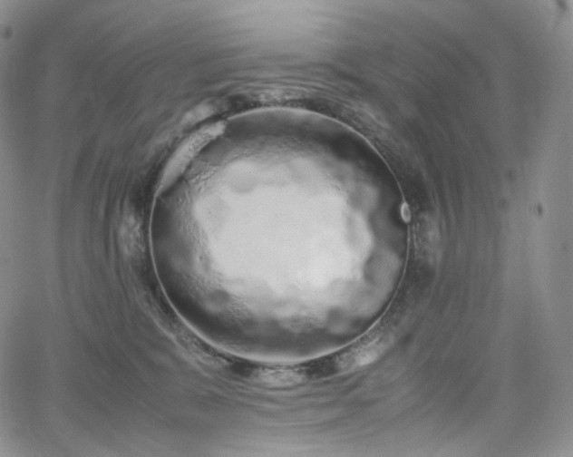 X0000062170327200512091437