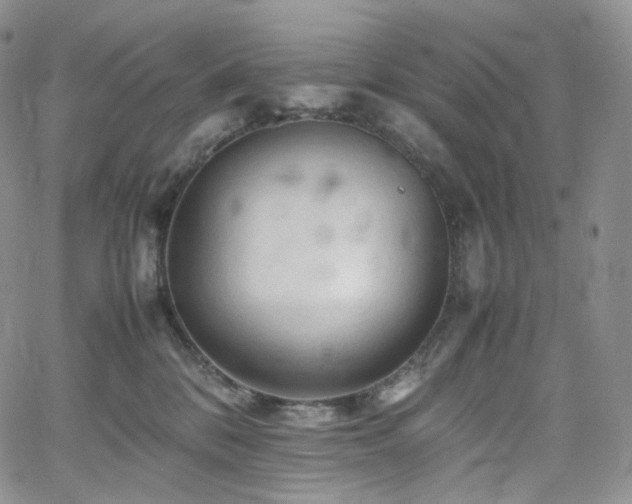 X0000062170328200512091437