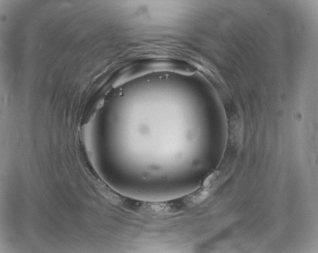 X0000062170329200512091436